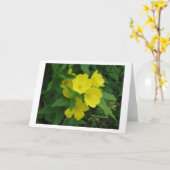 Buttertasse Karte (Gelbe Blume)