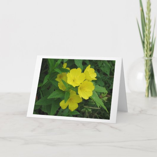 Buttertasse Karte (Vorderseite)