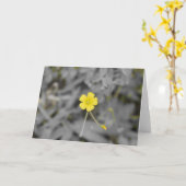 Buttertasse Karte (Gelbe Blume)
