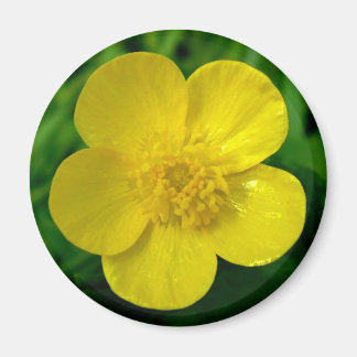 Buttertasse Magnet