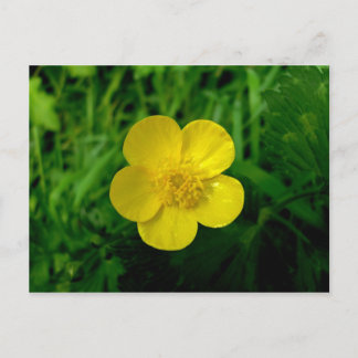 Buttertasse Postkarte