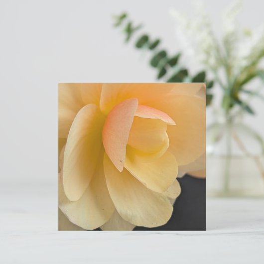 Buttery Begonia Note Card Dankeskarte (Stehend Vorderseite)