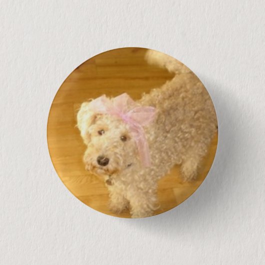 Button (Vorderseite)