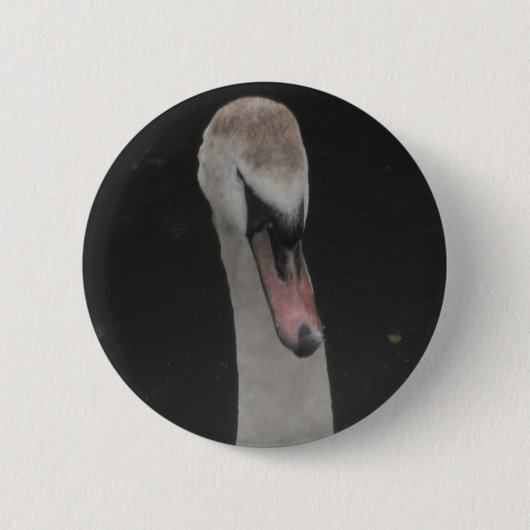 Button Baby Swan Face (Vorderseite)