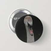 Button Baby Swan Face (Vorne & Hinten)