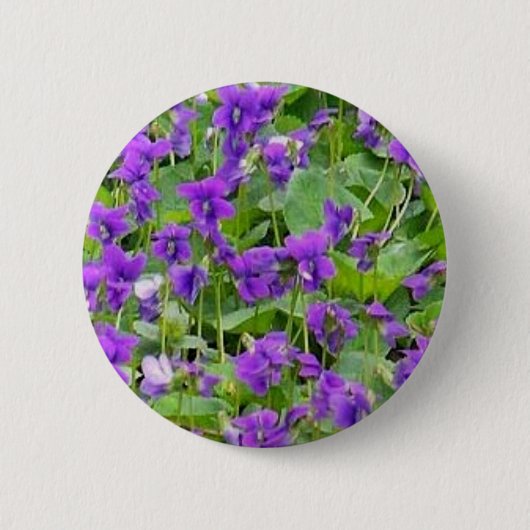 Button-Back-Button von Wisconsin Wood Violets Button (Vorderseite)