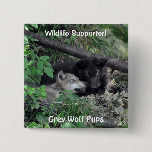 Button "Black & Gray Wolf Pups Wildlife Collector" (Vorderseite)