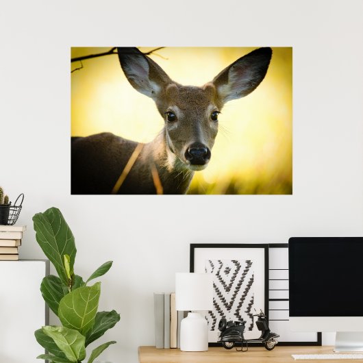 Button Buck Poster (Heimbüro)