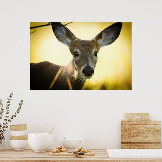 Button Buck Poster (Küche)