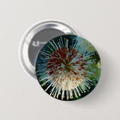 Button Bush (Vorne & Hinten)