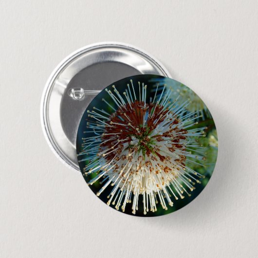 Button Bush (Vorne & Hinten)