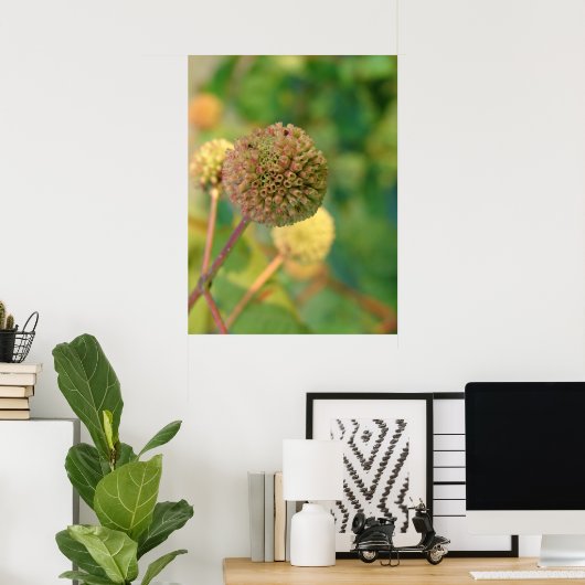 Button Bush #2 Poster (Heimbüro)