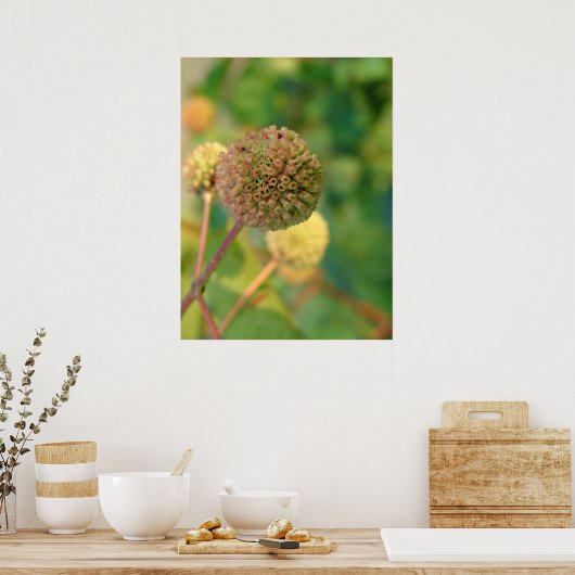 Button Bush #2 Poster (Küche)