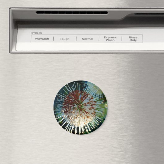 Button Bush Magnet (In Situ (Geschirrspüler))