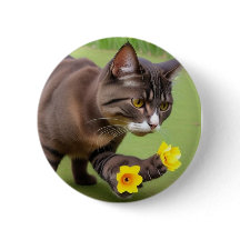 Button(cat-Theme)