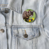 Button(cat-Theme) Button (Beispiel)