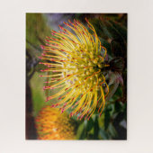 Button Cushion Protea Blume auf Maui Puzzle (Vertikal)