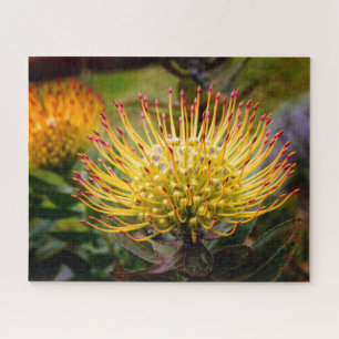 Button Cushion Protea Blume auf Maui Puzzle