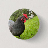 Button Cute Rooster (Vorderseite)