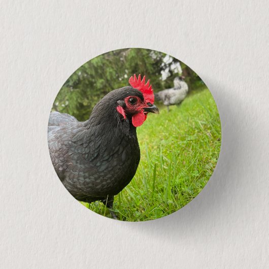 Button Cute Rooster (Vorderseite)