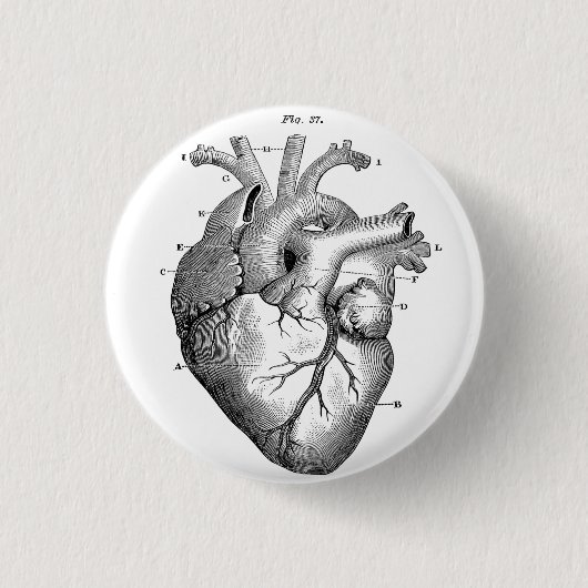 Button des anatomischen menschlichen Herzdiagramms (Vorderseite)