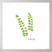 Button Fern Illustration | Botanische Schrift Poster (Vorne)