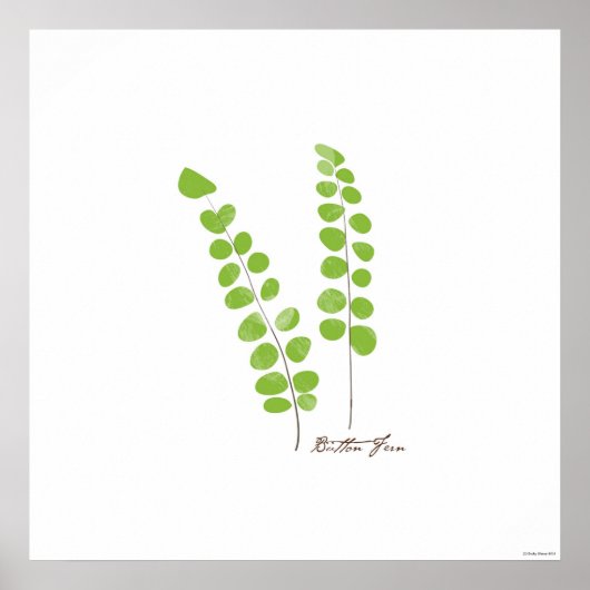 Button Fern Illustration | Botanische Schrift Poster (Vorne)