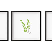 Button Fern Illustration | Fern-Serie Poster