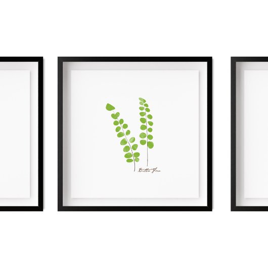 Button Fern Illustration | Fern-Serie Poster