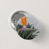 Button--Floral Serie Vogel des Paradies Button (Vorne & Hinten)