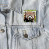 Button Foto Rote Panda , Tiere 0045. (Beispiel)