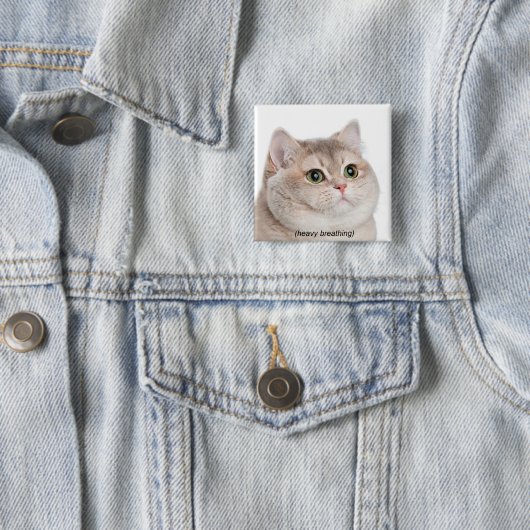 Button für das Cat-Meme (Beispiel)