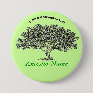 Button - Genealogische Struktur
