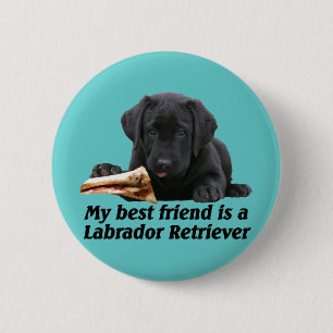 Button "Labrador retriever "