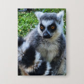 Button met Ringstaartmaki – Unieke Dierenprint (Vorderseite)