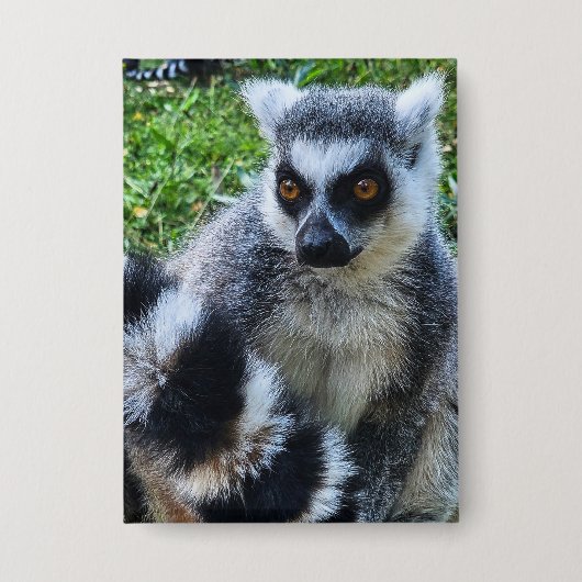 Button met Ringstaartmaki – Unieke Dierenprint (Vorderseite)