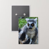 Button met Ringstaartmaki – Unieke Dierenprint (Vorderseite/Rückseite)
