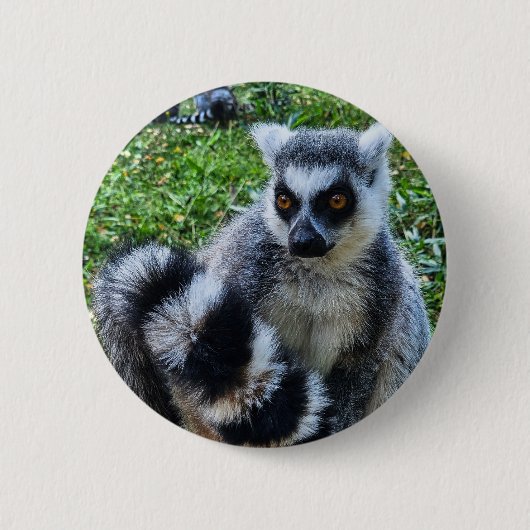 Button met ringstaartmaki – unieke dierenprint (Vorderseite)