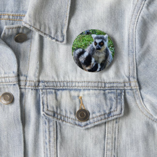 Button met ringstaartmaki – unieke dierenprint