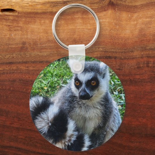 Button met ringstaartmaki – unieke dierenprint schlüsselanhänger (Vorderseite)