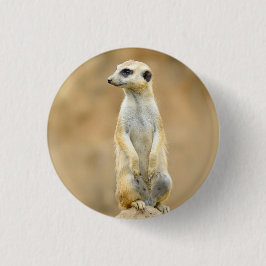 Button mit Meerkat auf Wache