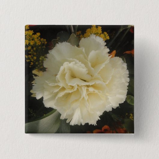 Button White Carnation Beauty (Vorderseite)