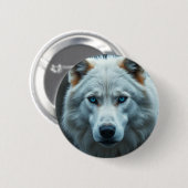 Buttons  (Vorne & Hinten)