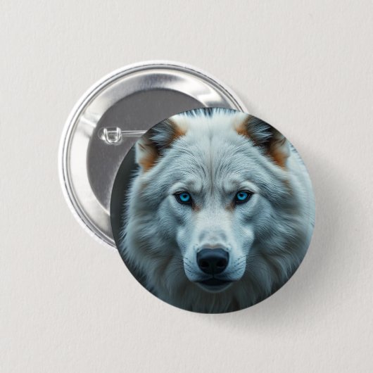 Buttons  (Vorne & Hinten)