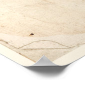 Buttons für antikes Botanisches Plakat (Ecke)