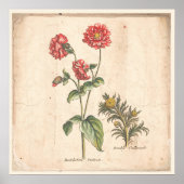 Buttons für antikes Botanisches Plakat (Vorne)