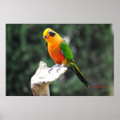 Buttons II Poster (Vorne)