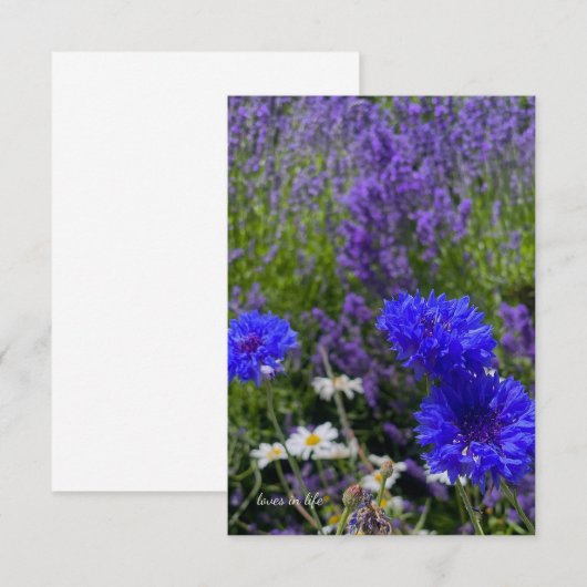 Buttons & Lavender Mitteilungskarte (Vorne/Hinten)