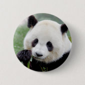 Buttons riesige Panda. Panda Geant. (Vorderseite)