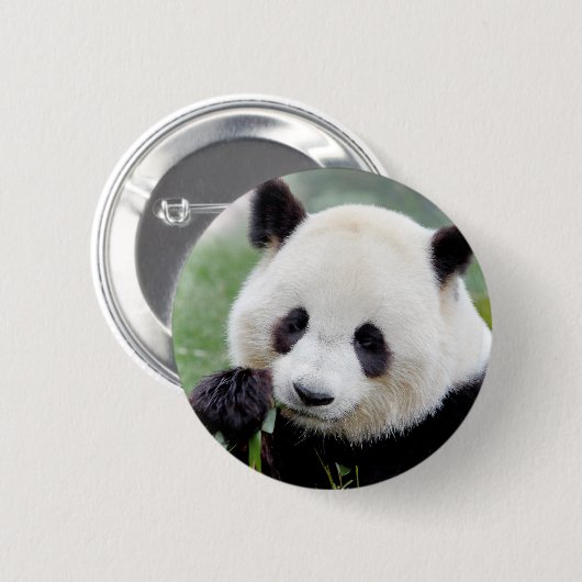 Buttons riesige Panda. Panda Geant. (Vorne & Hinten)